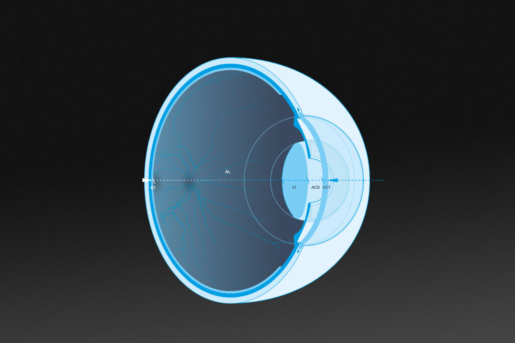 Lenstar Eye Crossection